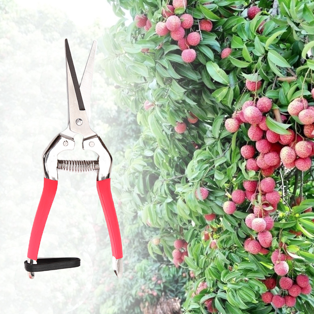 Garden Pruning Scissors Plant Cutter Flower Fruit Grape Scissors
