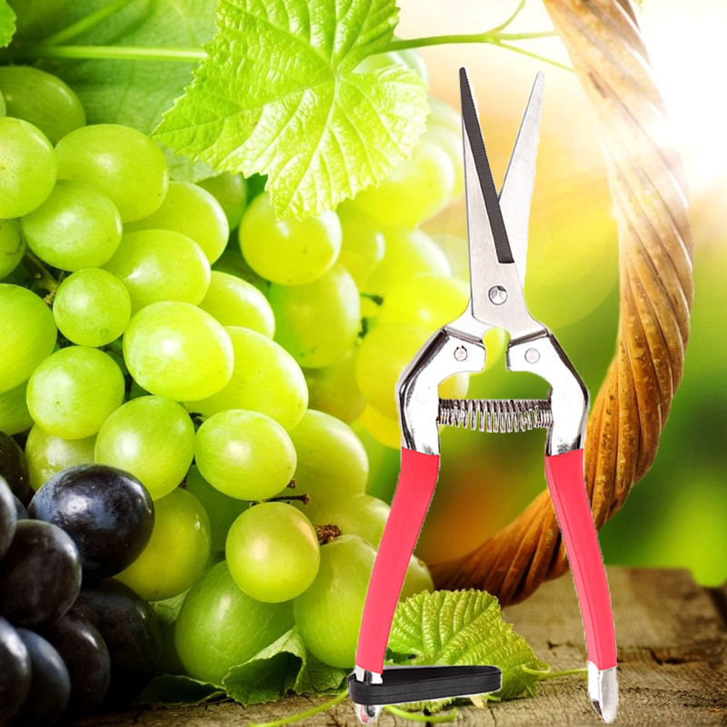 Garden Pruning Scissors Plant Cutter Flower Fruit Grape Scissors