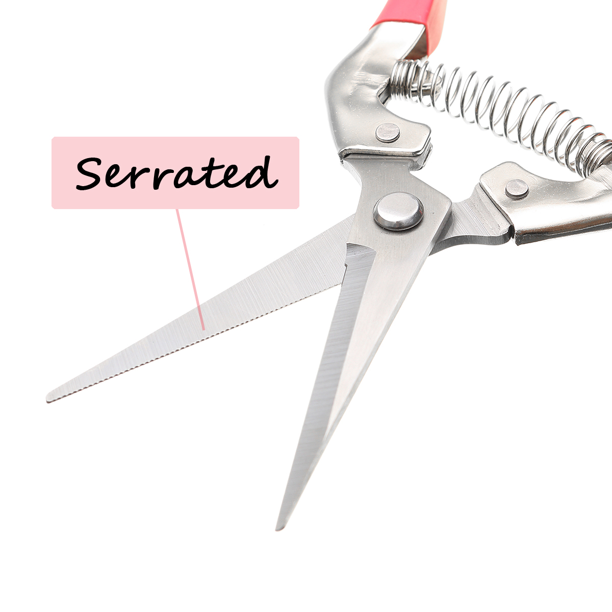 Garden Pruning Scissors Plant Cutter Flower Fruit Grape Scissors
