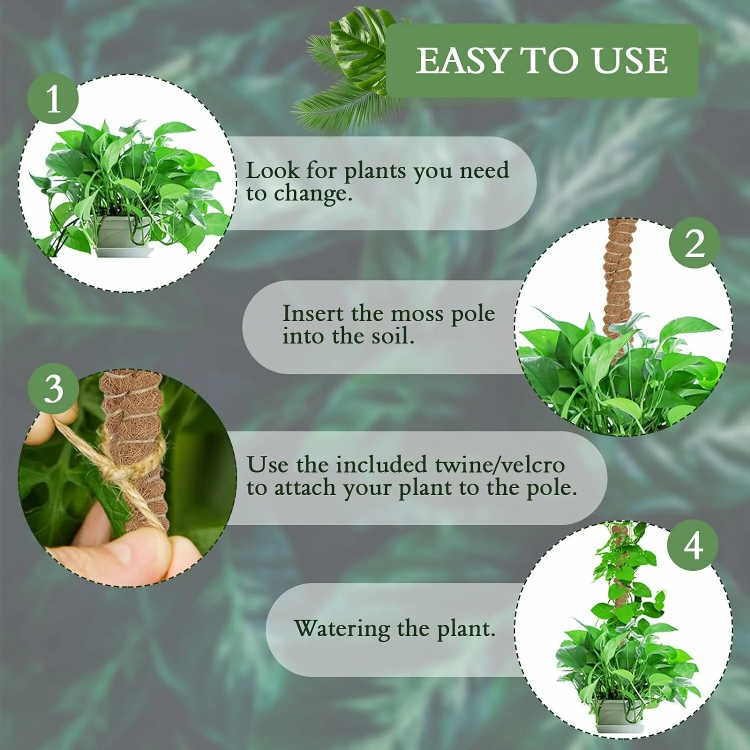 Coconut Fiber Moss Poles 2 Pack - 25 Inch Bendable Plant Support | Eco-Friendly - Image 3
