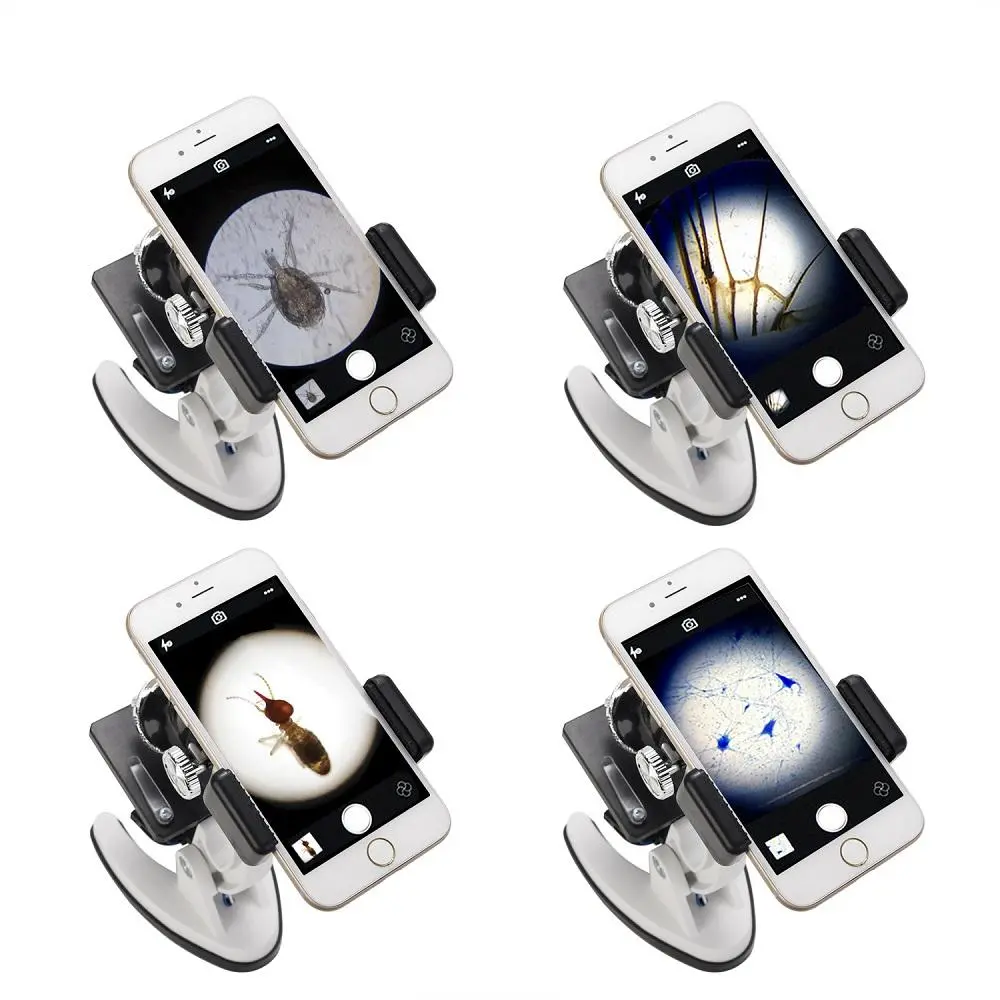 AmScope Kids Beginner Microscope - 100X-1200X Metal Body with Phone Adapter & Slides - Image 2