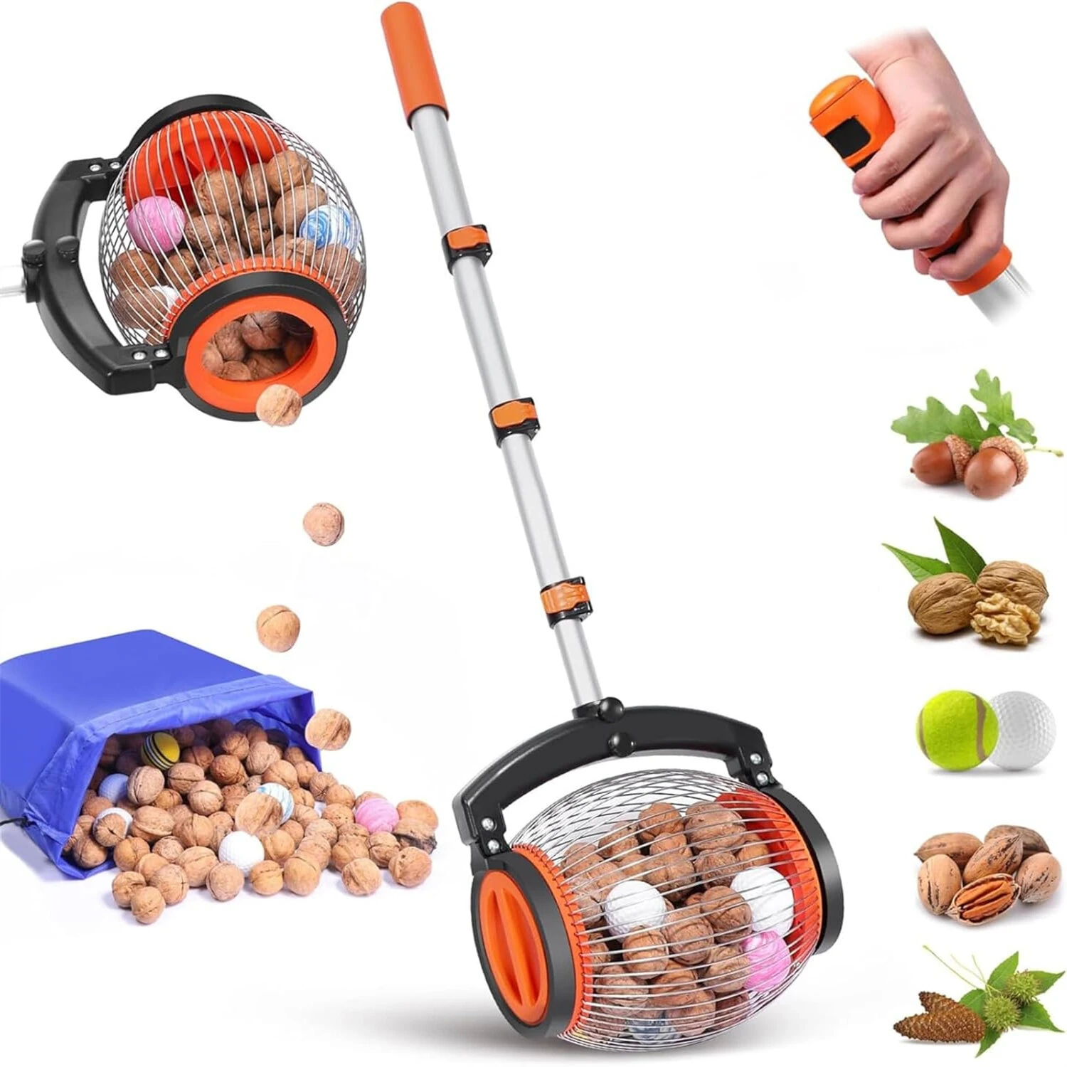 Nut Collector Rolling Garden Nut Harvester - 1-Gallon Capacity | Telescopic Aluminum Handle for Pecans Walnuts Acorns - Image 2