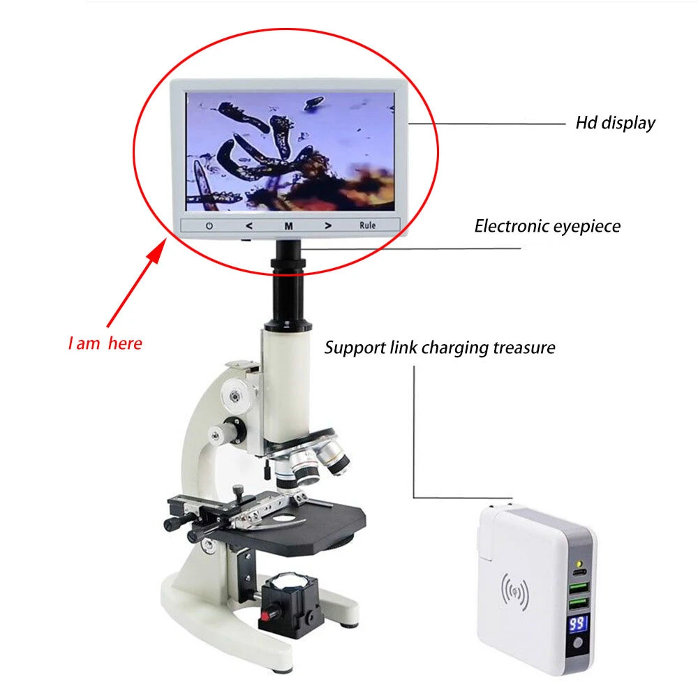 5 7 9 Inch Electronic Eyepiece Display Screen | HD Microscope Camera for Stereo Biological Microscopes - Image 4