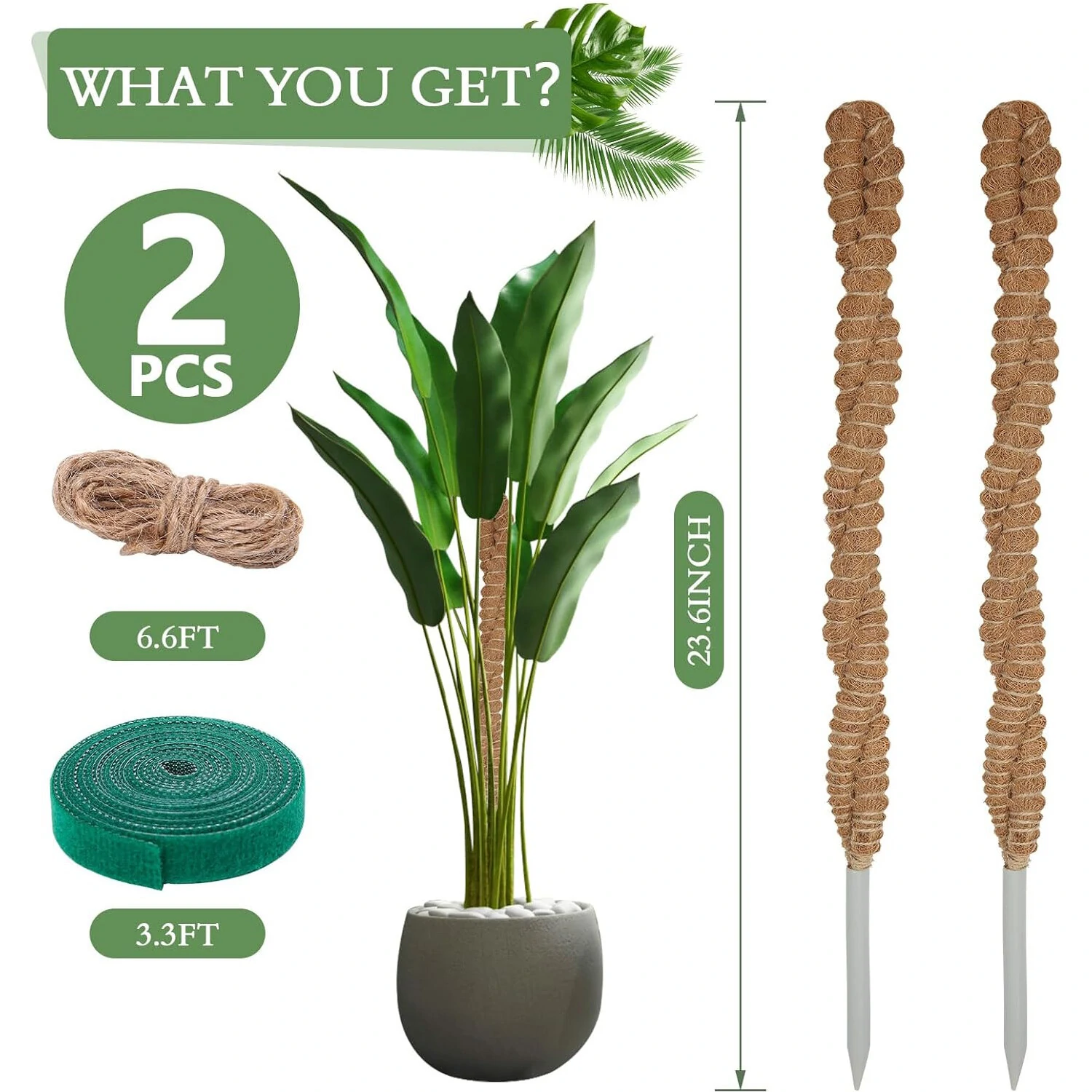 Coconut Fiber Moss Poles 2 Pack - 25 Inch Bendable Plant Support | Eco-Friendly - Image 5