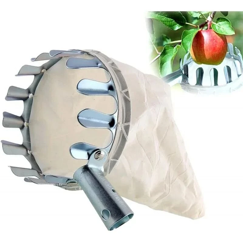 Adjustable Stainless Steel Fruit Picking Pole - 2.4M 3.2M 4M for Tall Trees - Image 3