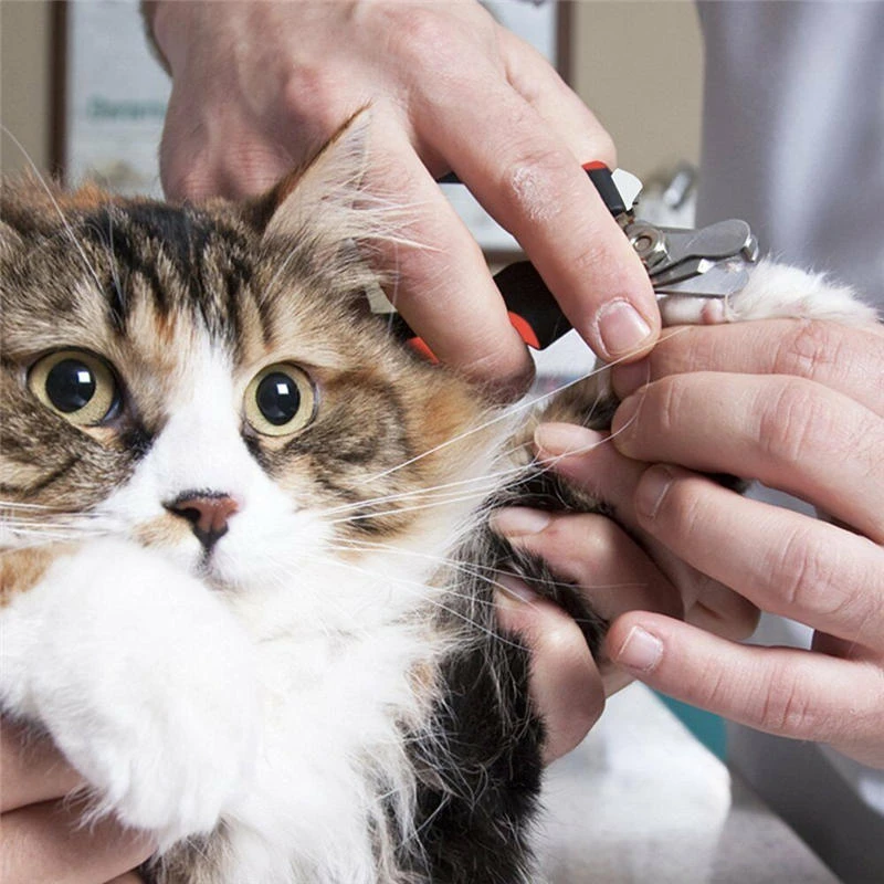 Pet Dog Cat Nail Clipper - Professional Stainless Steel Grooming Trimmer - Image 3