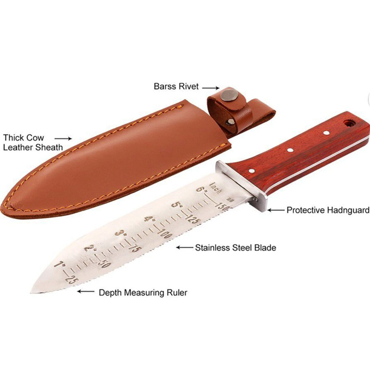Stainless Steel Weeding Knife - 7.25 Dual-Edge Blade, Ergonomic Wood Handle - Image 5