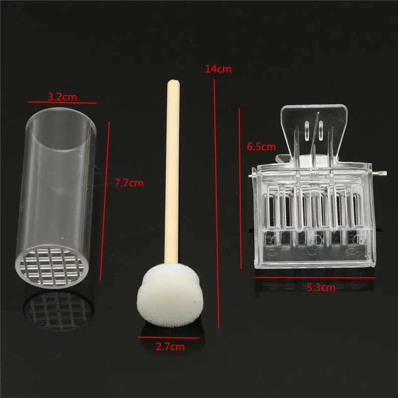 Bee Uncapping Fork & Queen Catcher | Beekeeping Hive Tool Kit Pack - Image 2