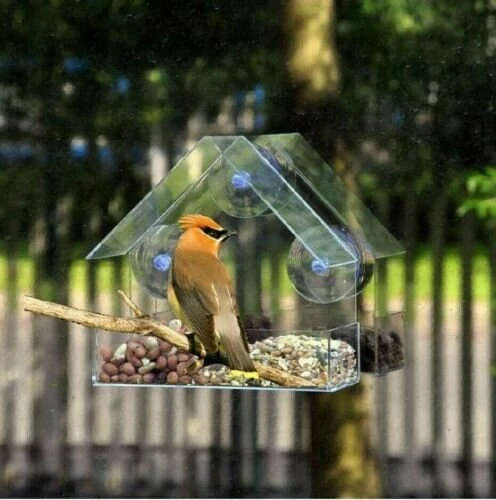 Window Bird Feeder with Suction Cups | Clear Glass for Viewing | Hanging for Seeds & Fatballs - Image 3