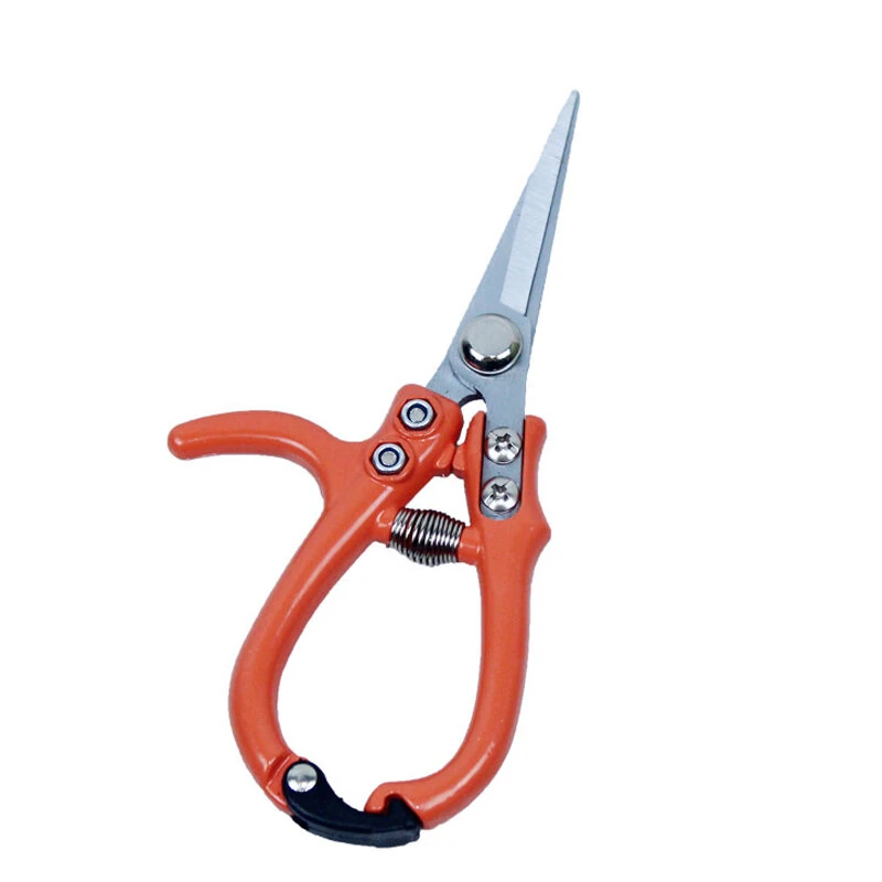 High Carbon Steel Pruning Shears Set - 2PCS 168mm & 154mm | Extra Sharp | Ergonomic Handles - Image 2