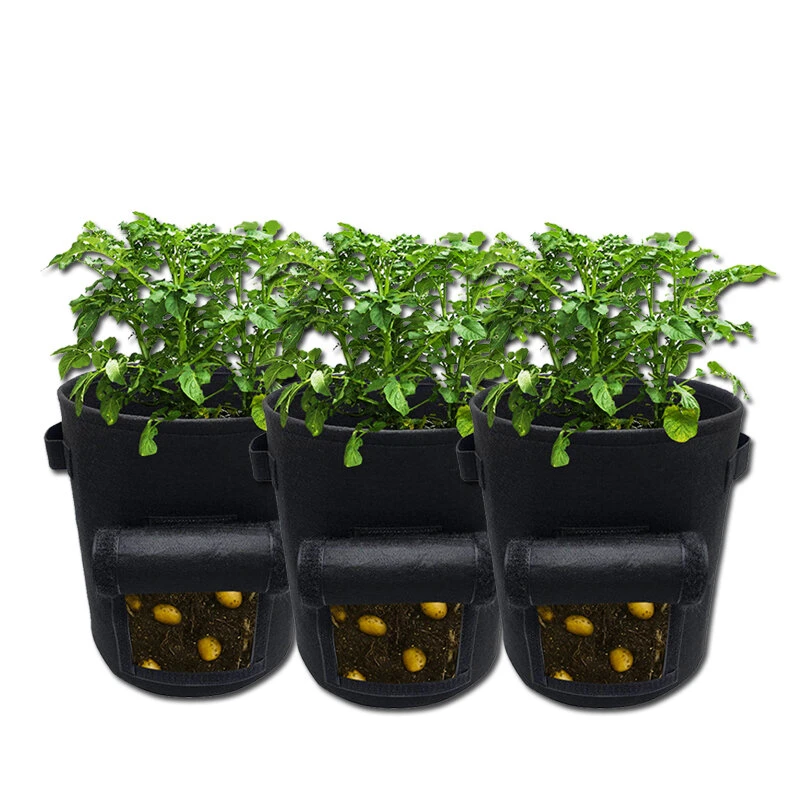 Potato Grow Bag - 26L & 38L Planter Bags with Handle for Vegetables - Image 3
