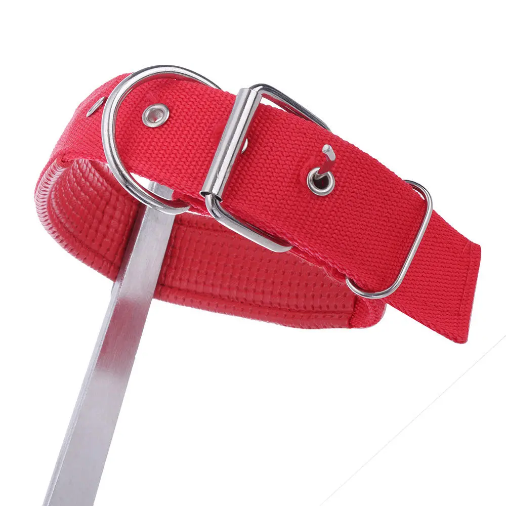 Tree Climbing Spike Set with Safety Belt | Adjustable Lanyard & Stainless Steel Gear - Image 3