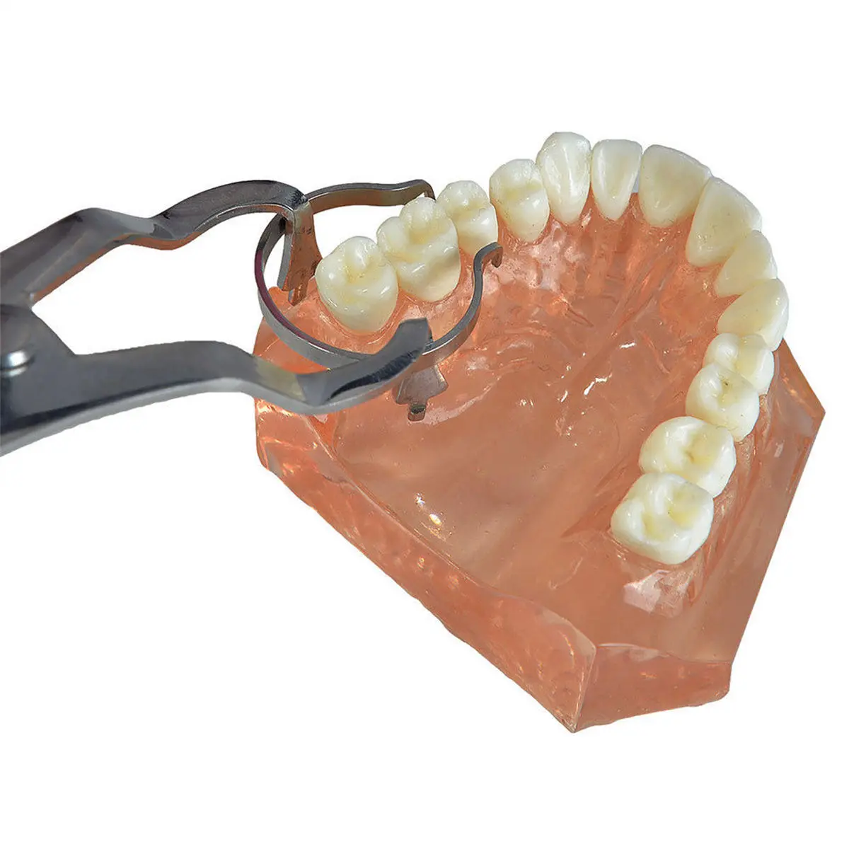 Delta Dental Matrix Set - Sectional Contoured Matrices, Rings & Wedges with Plier - Image 5