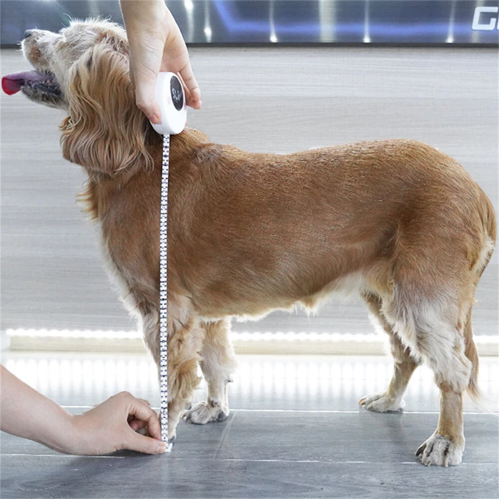 ETOPOO Bluetooth Digital Measuring Tape | Automatic Retraction & Pet Measurement - Syncs with Apps for Real-Time Data - Image 3