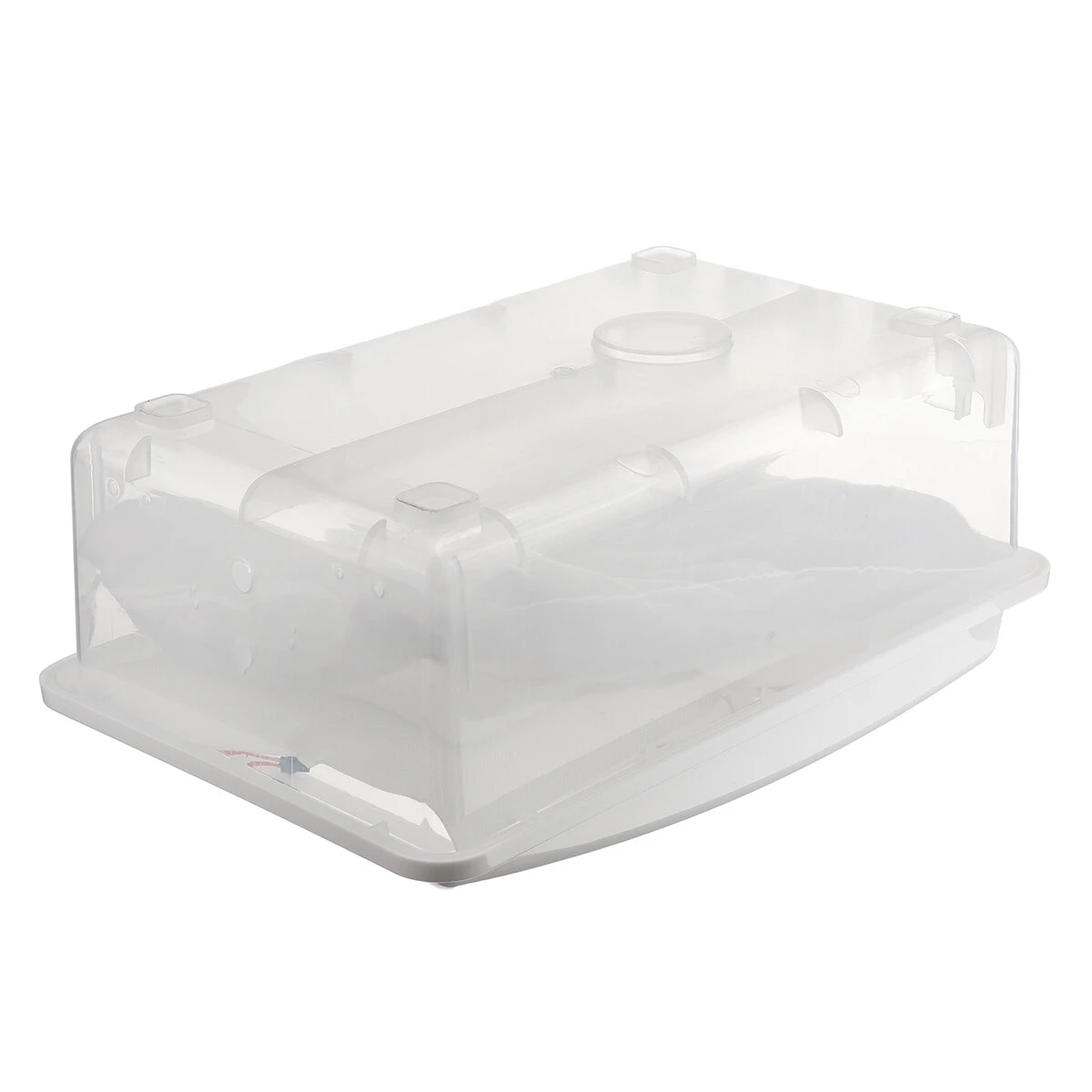 36 Egg Digital Incubator | Semi-Automatic 110V/220V for Chicken Eggs | Household - Image 5