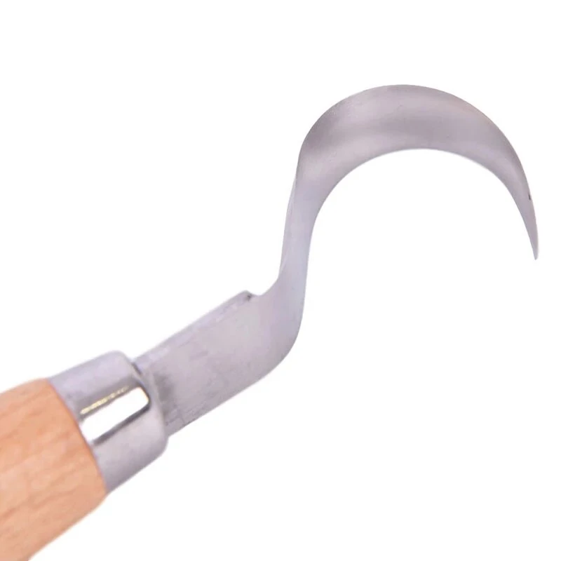 Stainless Steel Scimitar Carving Knife - Beech Wood Handle | Wood Cutter Design - Image 5