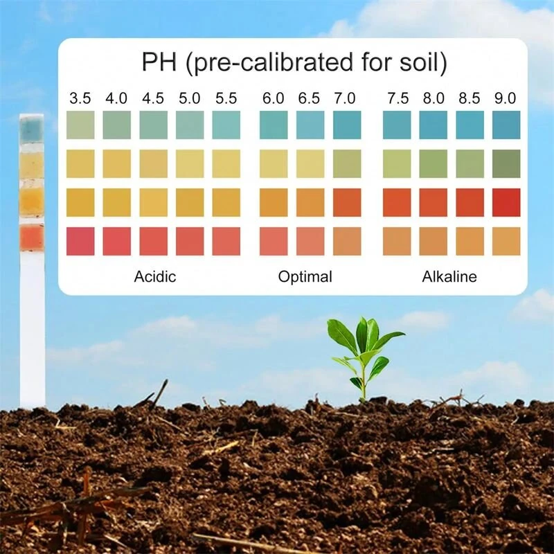 Garden Soil pH Test Kit - 100 Strips | 3.5-9.0 pH Range for Lawn & Garden - Image 4
