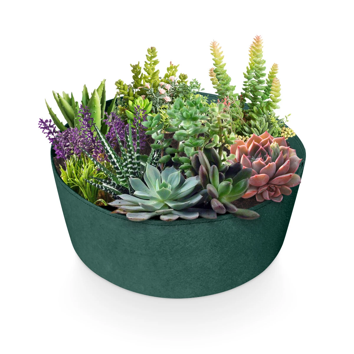 Faux Teak Raised Garden Bed - Elevated Planter Box for Vegetables & Flowers - Image 4