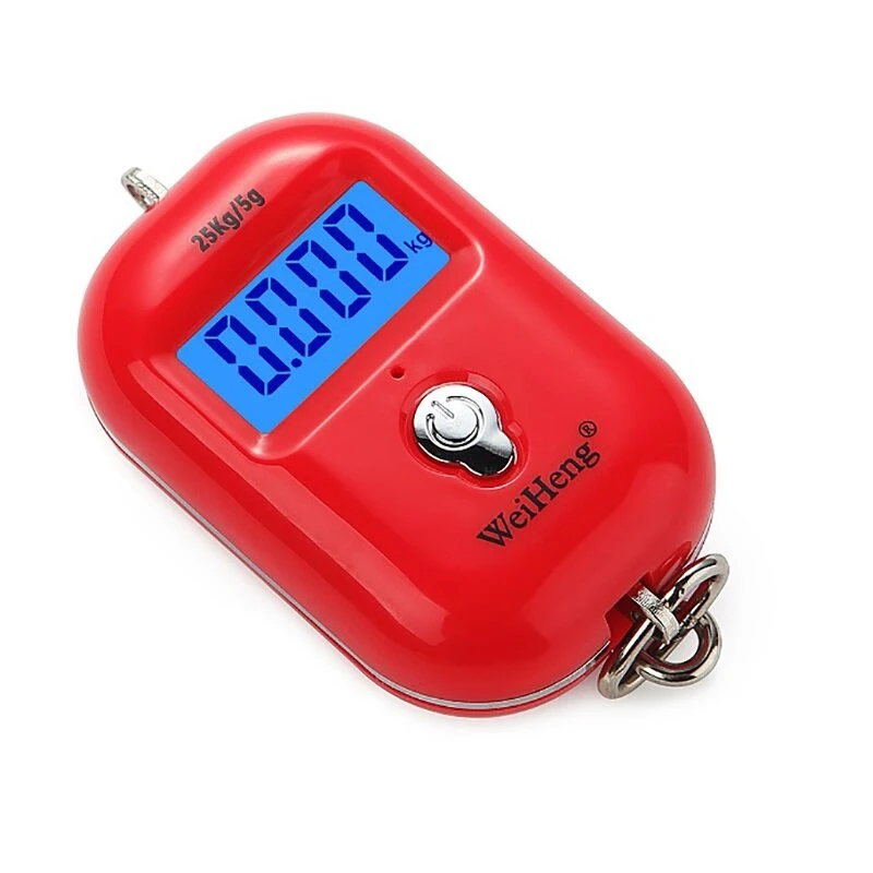 WH-A21L Digital Hanging Scale - 25Kg Capacity 5g Precision | LED Display Luggage & Kitchen Scale - Image 3