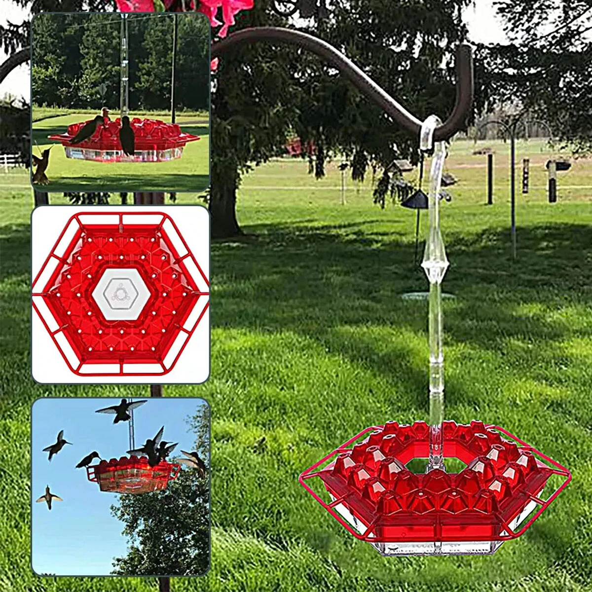 Hand-Blown Hummingbird Feeder - Multi-Feed Ports & Easy Clean - Acrylic Outdoor Hanging Gift - Image 2