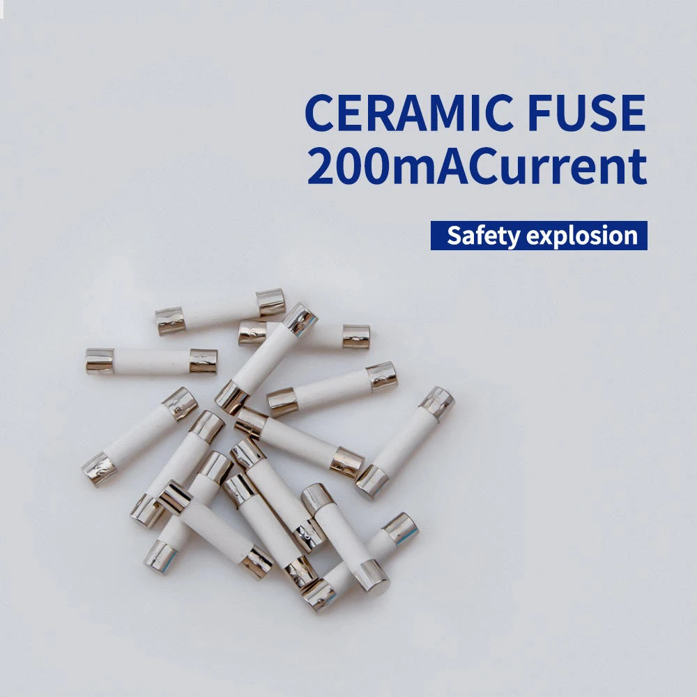 ANENG 6X30mm Ceramic Fuse 10 Pcs | 200mA to 20A for Multimeter - Image 4