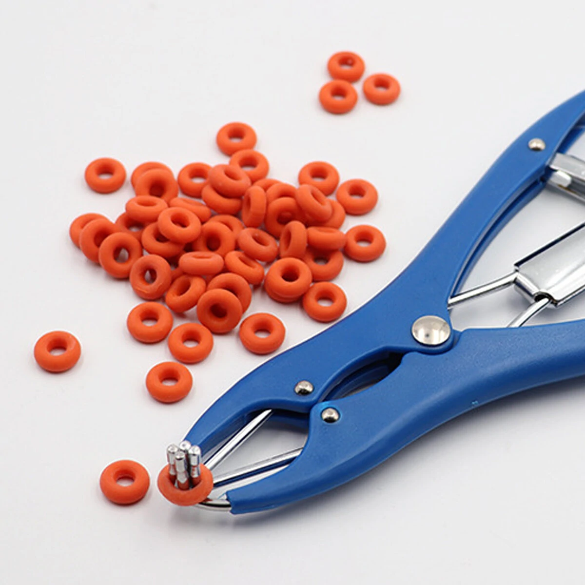 Elastrator Castration Pliers for Dogs Pigs Livestock - Tail Docking Tool +100 Bands - Image 4