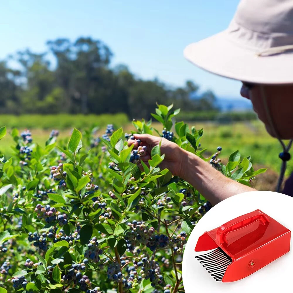 Portable Berry Picker Tool - Metal & Plastic Comb for Blueberries, Blackberries, Currants | Efficient Garden Harvest - Image 3