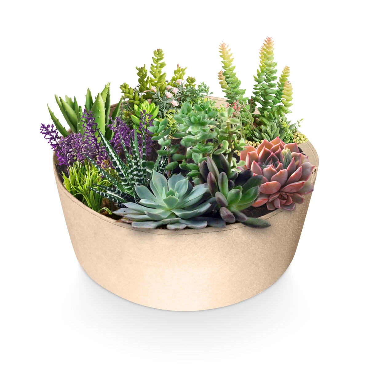 Faux Teak Raised Garden Bed - Elevated Planter Box for Vegetables & Flowers - Image 3