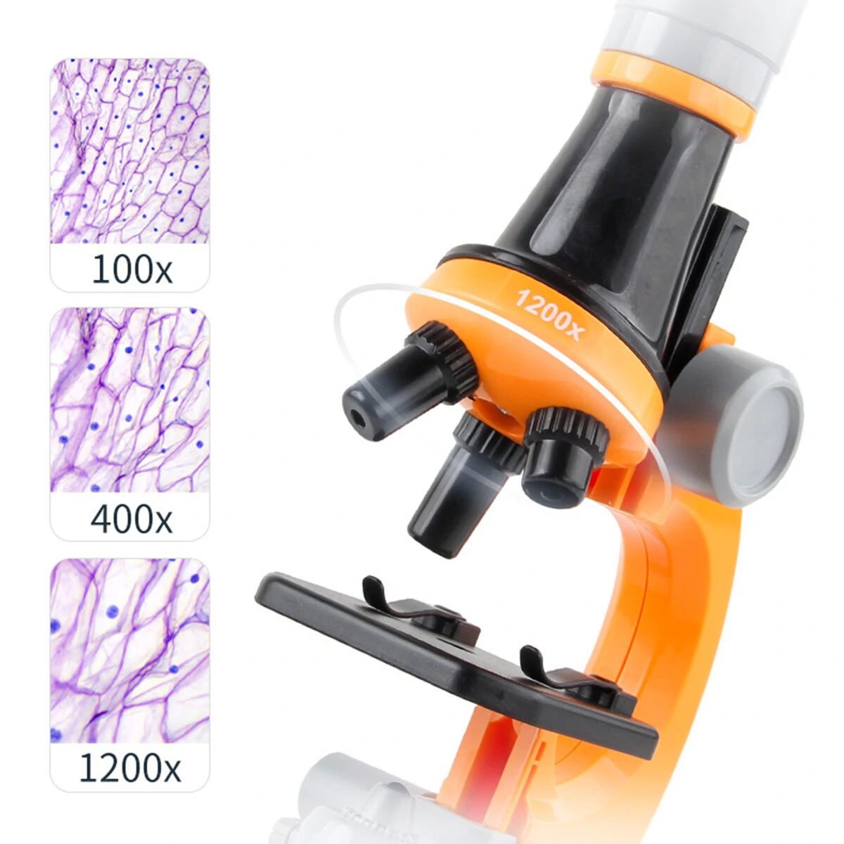 AmScope 100X-400X-1200X Kids Microscope | Biological Science Toy for Elementary School - Image 3