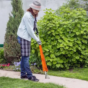 NASUM 2000W Electric Hot Air Weed Killer | Flamethrower Thermal Weeder for Garden - Image 3