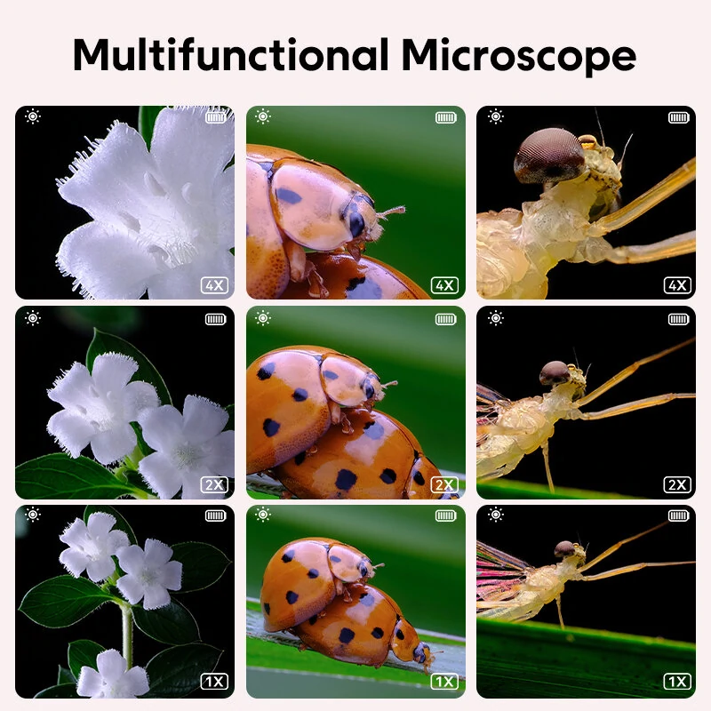 Kids Mini Pocket Microscope - 500X Magnification | 2.0 HD Screen & 8 LED Lights | Fast-Charging Battery for Science Exploration - Image 5