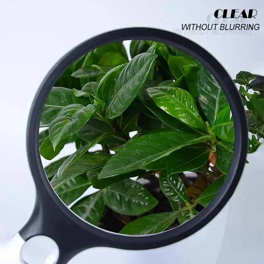 3X 45X Mini Handheld Magnifier with 3 LED Lights | 75MM & 22MM Dual Lens | Brightness Adjustable for Reading & Jewelry - Image 5