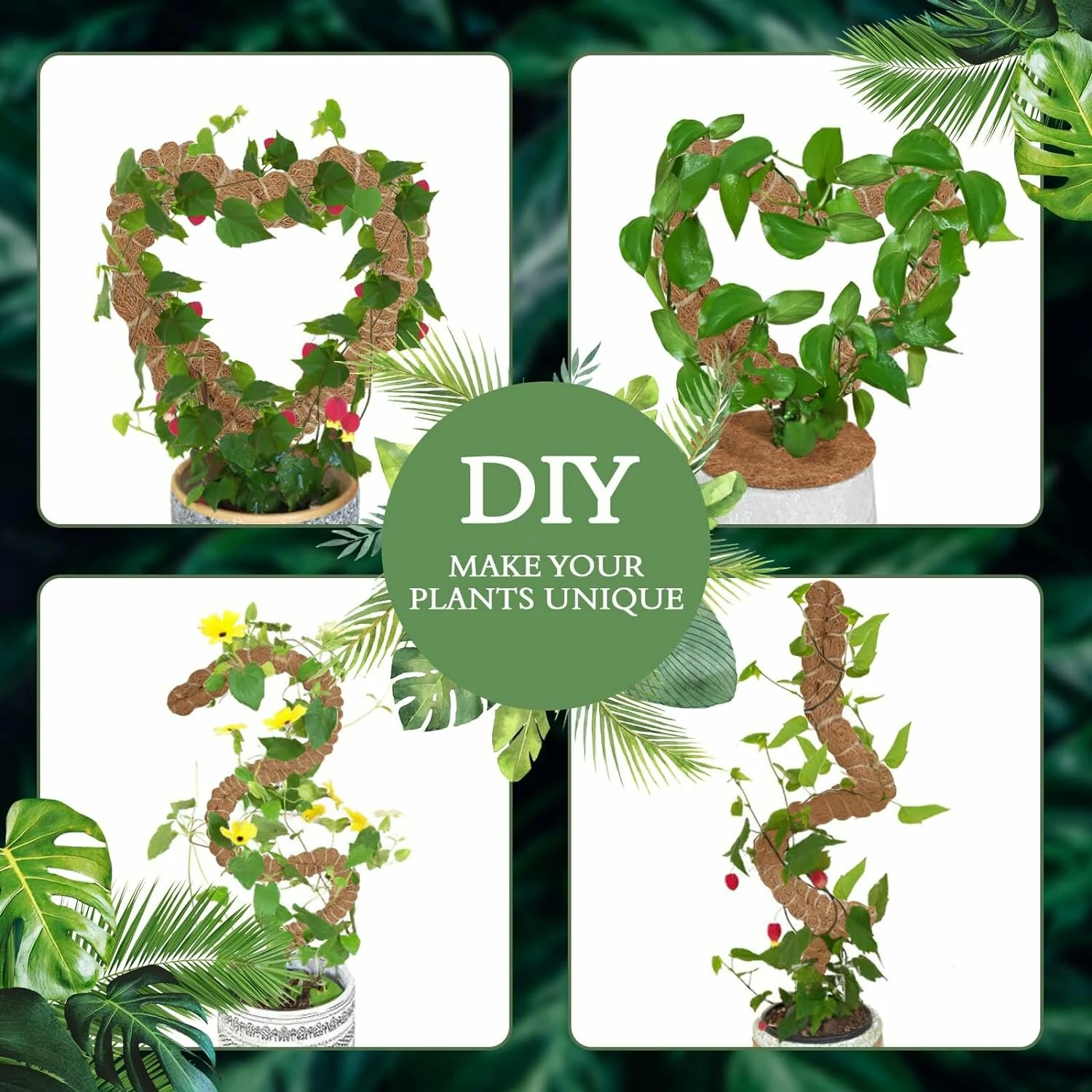 Coconut Fiber Moss Poles 2 Pack - 25 Inch Bendable Plant Support | Eco-Friendly - Image 4