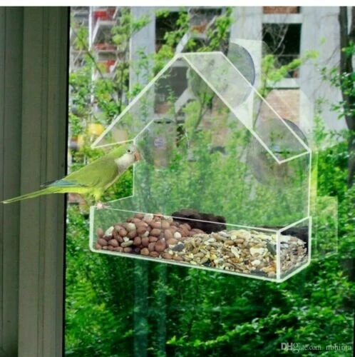 Window Bird Feeder with Suction Cups | Clear Glass for Viewing | Hanging for Seeds & Fatballs - Image 2