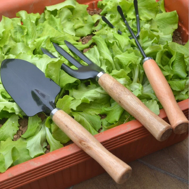 3Pcs Garden Hand Tools Set - Iron Shovel Spade Rake Trowel with Wood Handle - Image 2