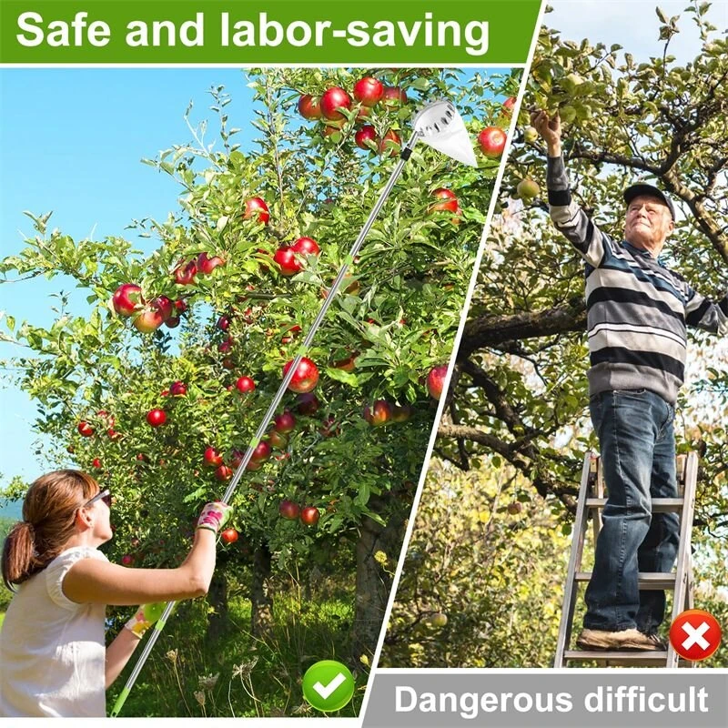Adjustable Stainless Steel Fruit Picking Pole - 2.4M 3.2M 4M for Tall Trees - Image 5
