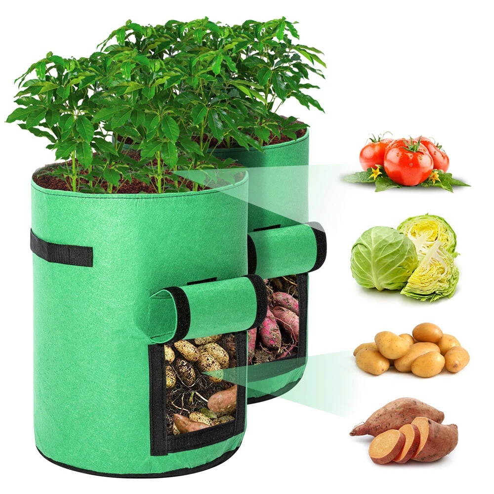 2 Pack 10 Gallon Fabric Pots - Premium Breathable Planting Pouch for Potatoes