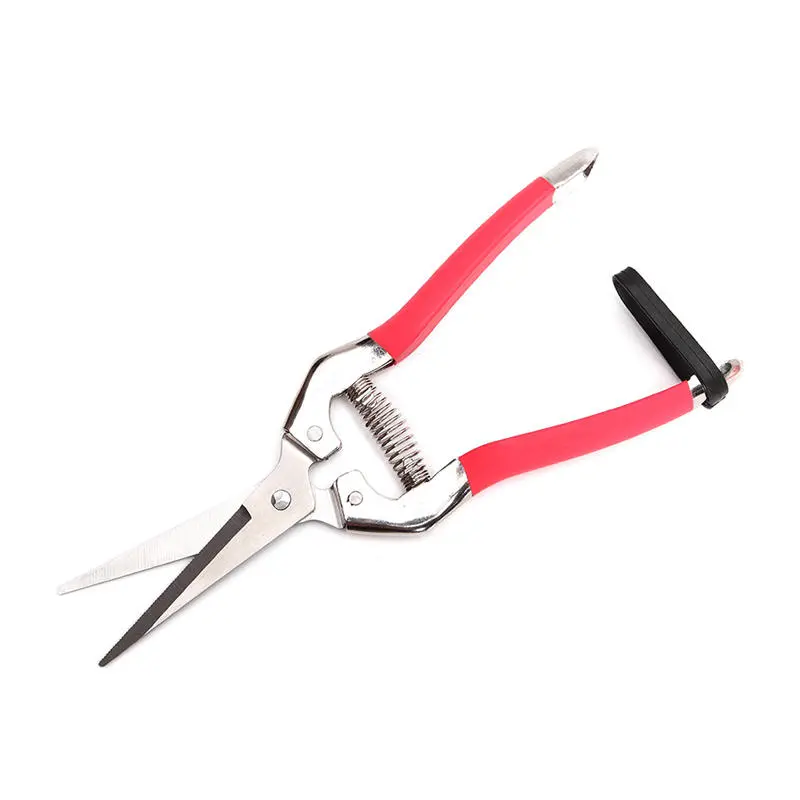 Garden Pruning Scissors | Plant & Flower Cutter | Fruit Grape Shears