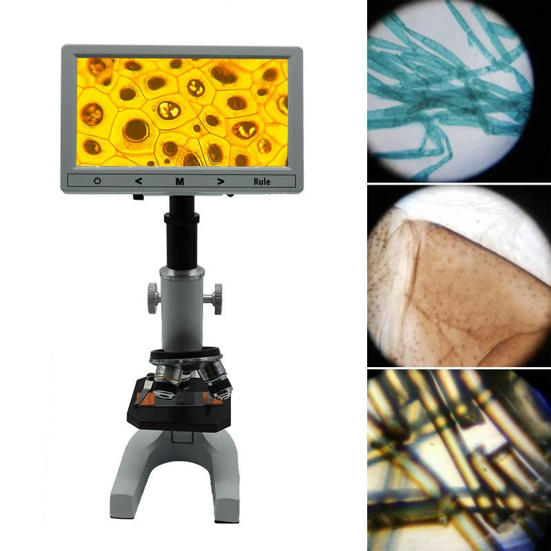 640X-1280X-2400X HD Biological Microscope | LED Light & Phone Holder | Student Laboratory Education
