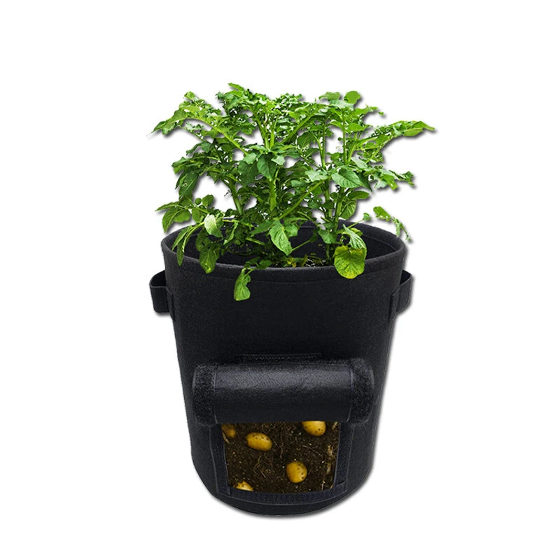 Potato Grow Bag - 26L & 38L Planter Bags with Handle for Vegetables