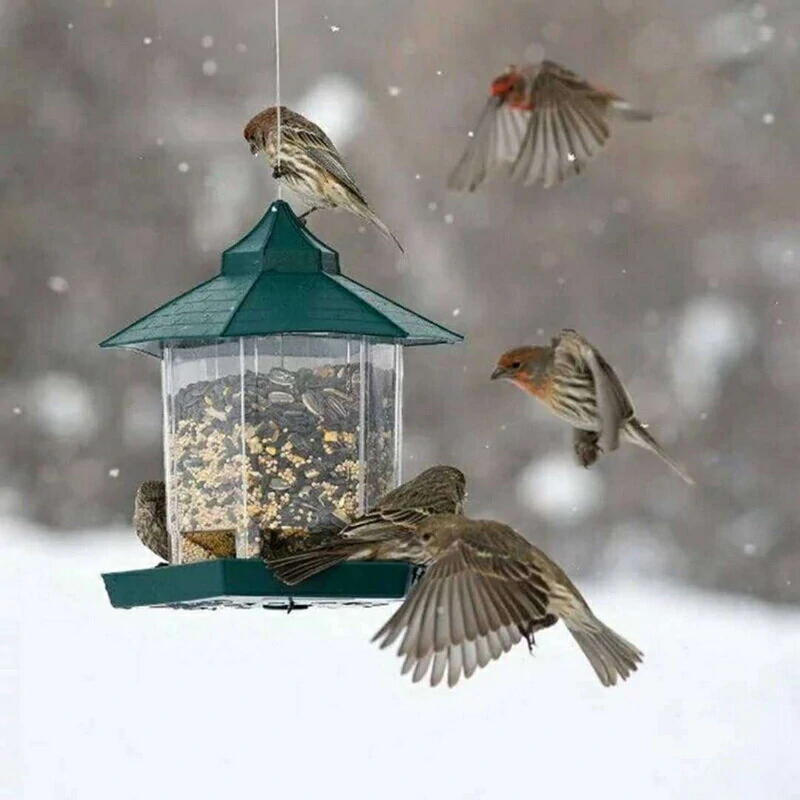 Green Bird Feeder - Outdoor Hanging Plastic Feeder - Waterproof Bird Food Container
