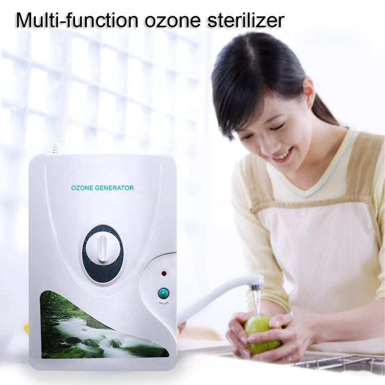 Ozone Generator 600mg/h 220V/110V with Timer | Air & Water Purifier for Home