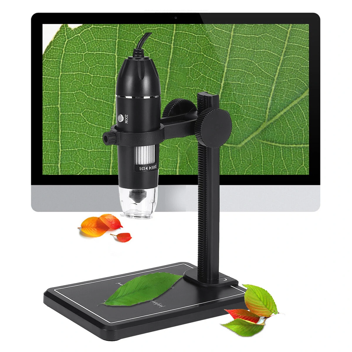 AmScope 1600X USB Digital Microscope - 2MP Camera, 8 LED Lights, Includes Stand