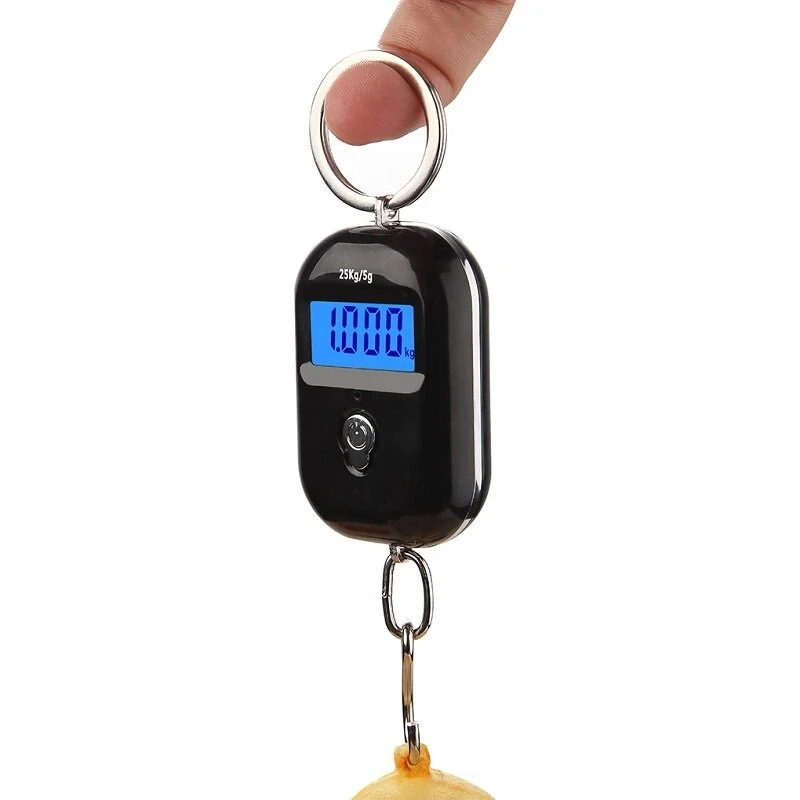 WH-A21L Digital Hanging Scale - 25Kg Capacity 5g Precision | LED Display Luggage & Kitchen Scale
