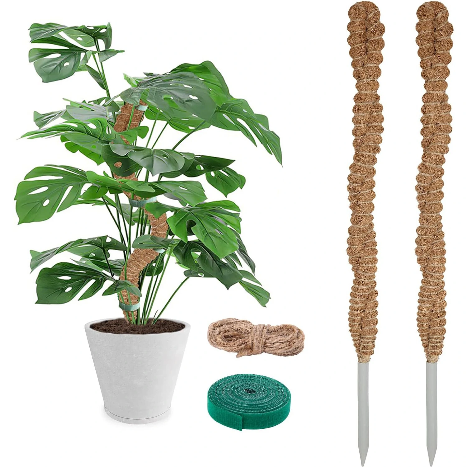 Coconut Fiber Moss Poles 2 Pack - 25 Inch Bendable Plant Support | Eco-Friendly