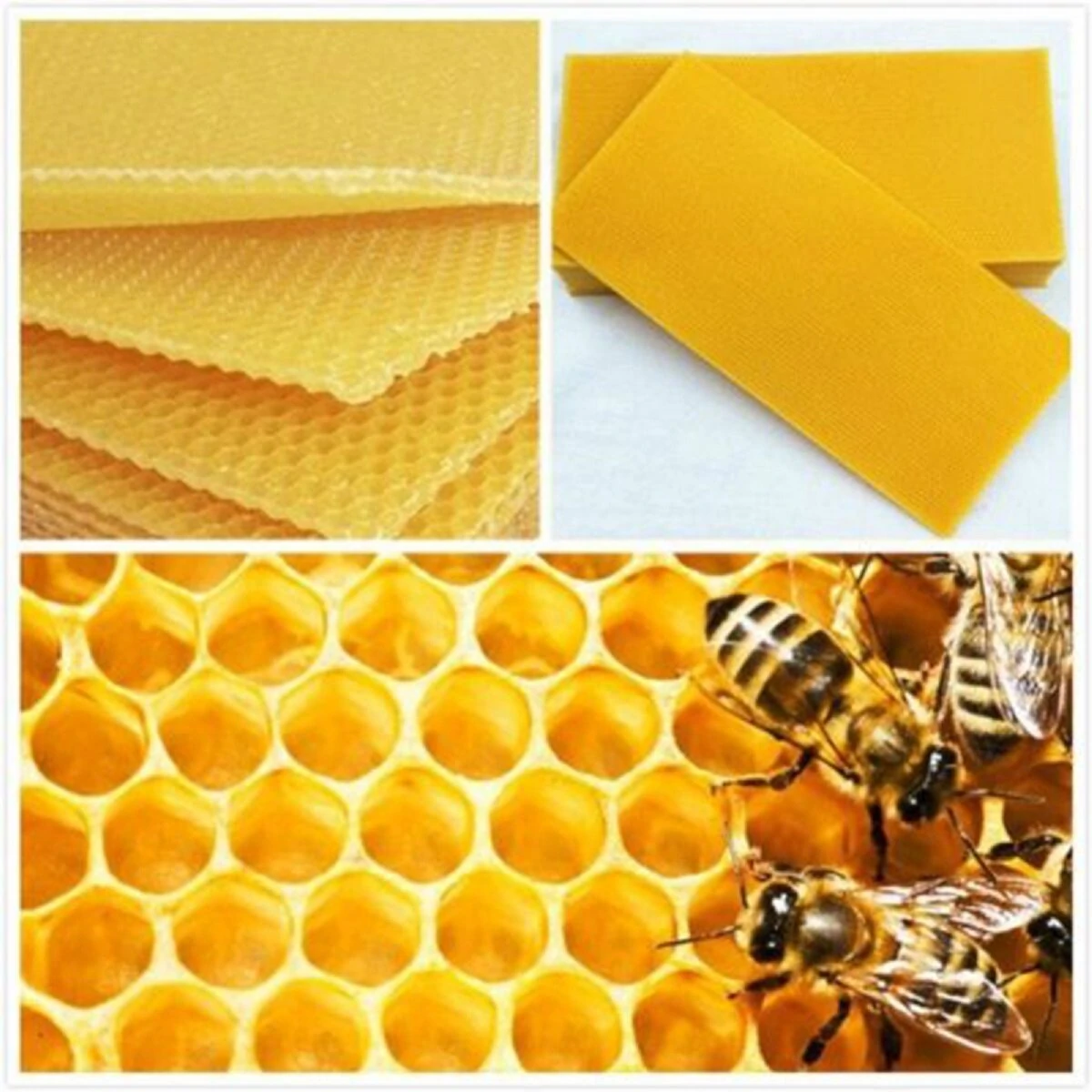 Beehive Brood Box Wired Wax Foundation - 30Pcs Honeycomb Sheets for Beekeeping