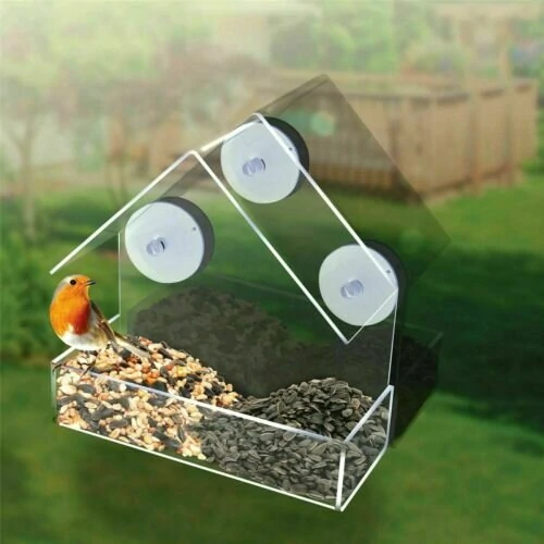 Window Bird Feeder with Suction Cups | Clear Glass for Viewing | Hanging for Seeds & Fatballs