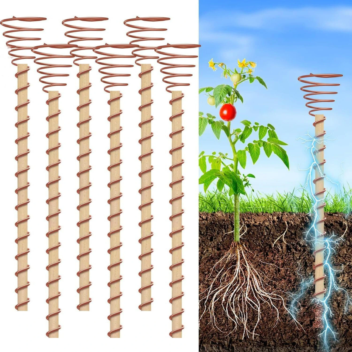 Electroculture Copper Plant Stakes 6PCS 12-Inch | Indoor Outdoor Garden Tool for High Yield Growth