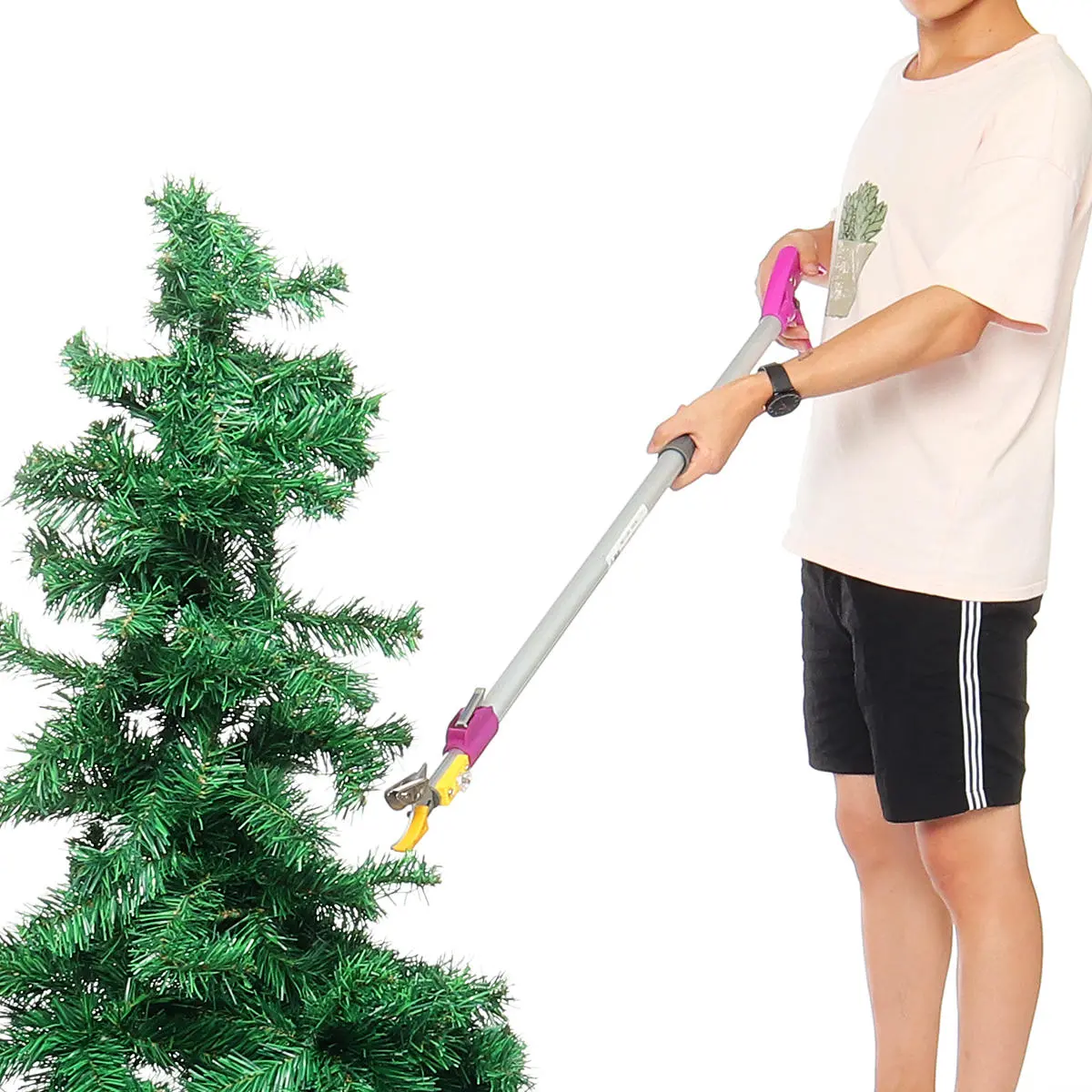 Green Garden Scissors - 2M Telescopic Shear for Fruit Trees & Branches | Garden Tools