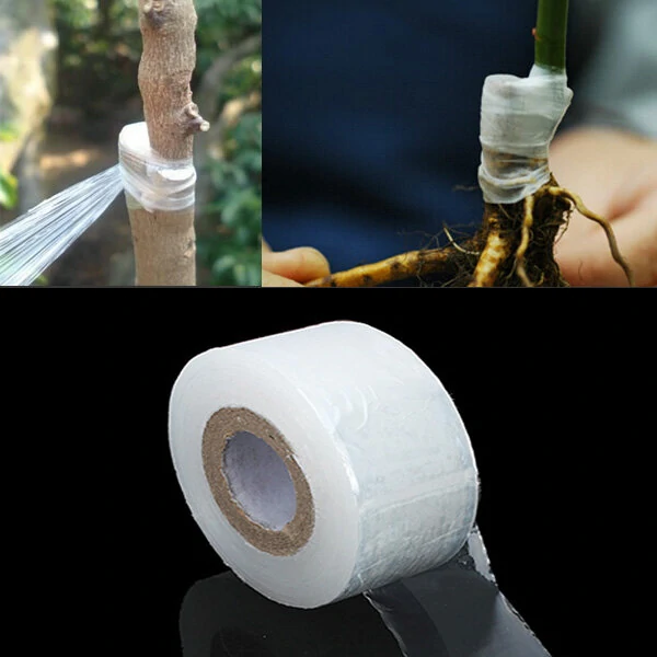 Honana HG-GT4 100m Grafting Tape - Degradable, 100m, Veg & Flower Seedling Tools
